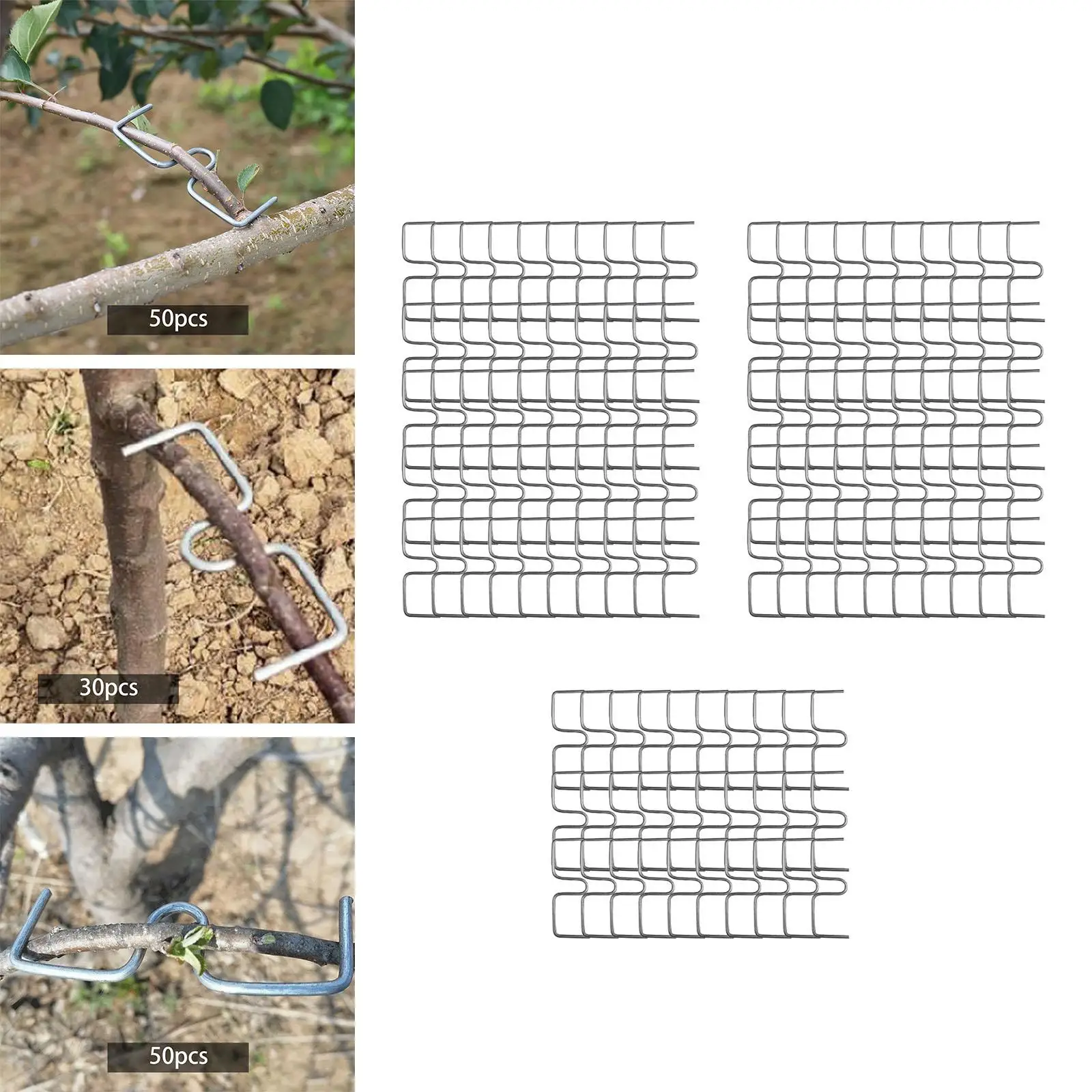 Plant Ties Tree Branch Fixator 50x Fruit Tree Branch Puller Branch Tying Potted Plants Strong Spreading Crotch Angles Orange Plum