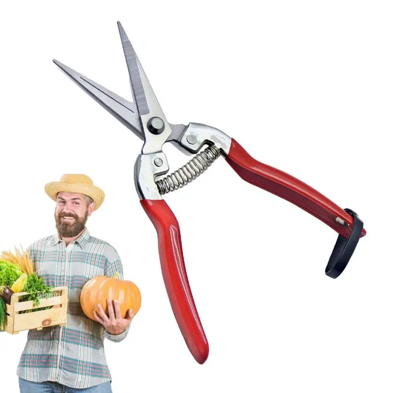 

Ручной секатор для садоводства, нержавеющие бриллиантовые ножницы, ножницы для сбора фруктов, легкие ножницы для садовых фермеров, теплиц