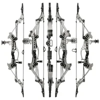 1set Archery Mini Compound Bow 16.4inch 16lbs Bow and Arrows Set for Outdoor/Indoor Toy Gift Entertainment Pocket Shooting Bows 1