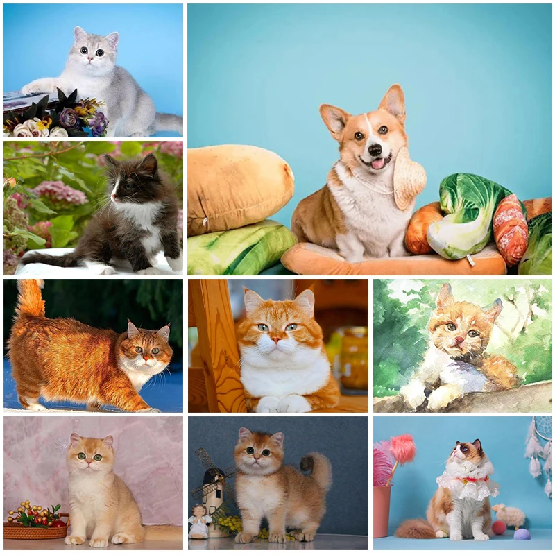

5D алмазная живопись с животными, милая картина с котенком и щенком, алмазная живопись с инкрустацией, алмазная вышивка, картина для украшения дома