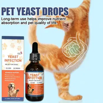 Dog enjoying healthy coat from skin care supplement
