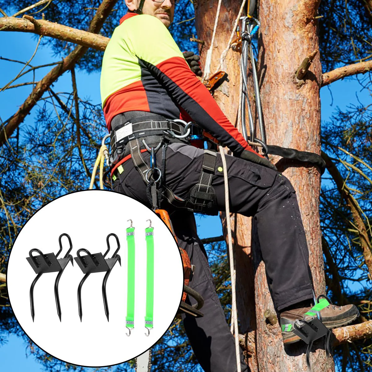 

Carbon Steel Tree Climbing Spikes Claw Style Non-Slip Pole Climbing Spikes Shoes