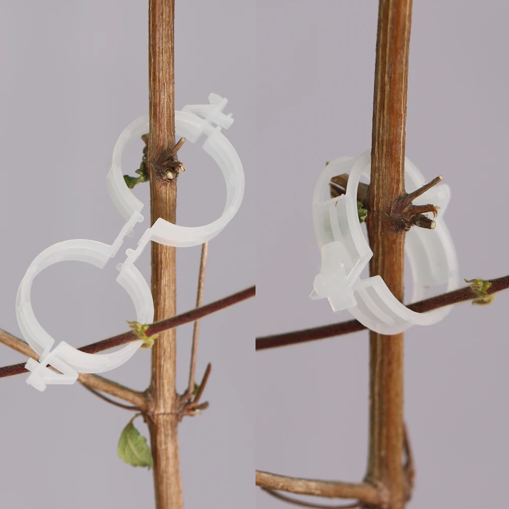 20-1000PCS Transparant White Garden Plants Stems Clip Tied Bundle Branch Clamp for Vines Binding Tools Tomato Vegetables Clip