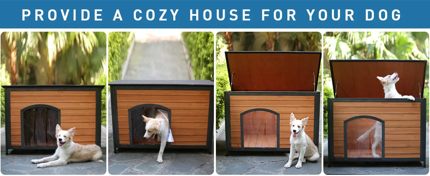 dog house