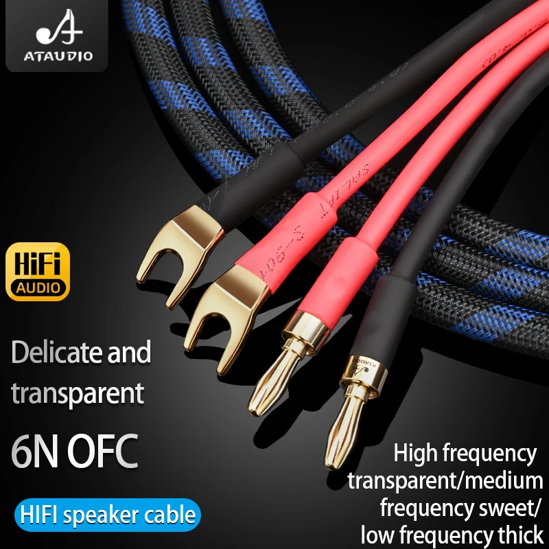 Atáudio-cabo de Alto-falante Hifi Fio Ofc 6n Plugue Banana Plugue y Alta Qualidade Par - Image 5