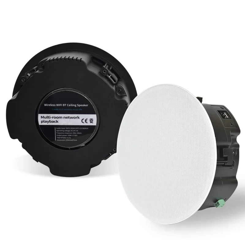 Cs-2 Wifi Btairplay Multi-Room Lan Usb Aux Wireless Hifi Altoparlante Da Soffitto Passivo Attivo Per Sistema Audio Home Audio Theater