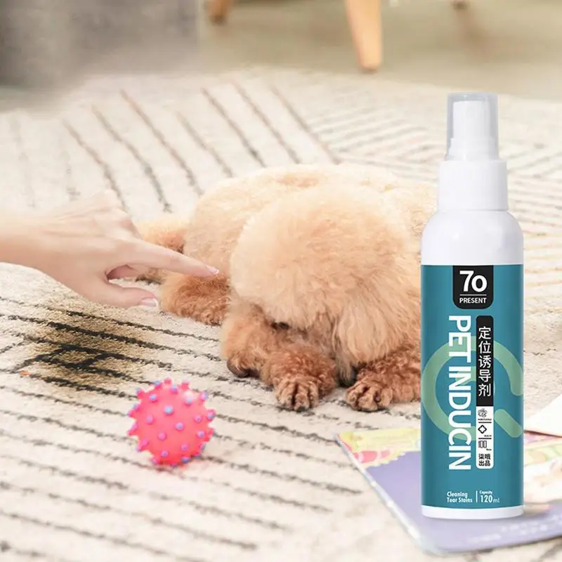 Dog Stain & Odor Removers