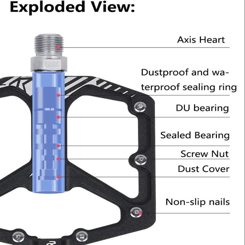 dsc-products