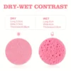 Compressed Facial Sponges, Estheticians Round Cellulose Facial Sponges,Natural Cosmetic Spa Sponges For Face Cleansing,Massage 5