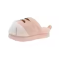 Pink-slides