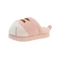 Pink-slides