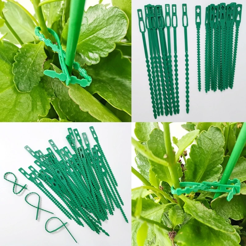 

50Pcs Reusable Garden Cable Ties Adjustable Plastic Cable Ties Tools Plant Support Shrub Fastener Tree Locking Outdoor