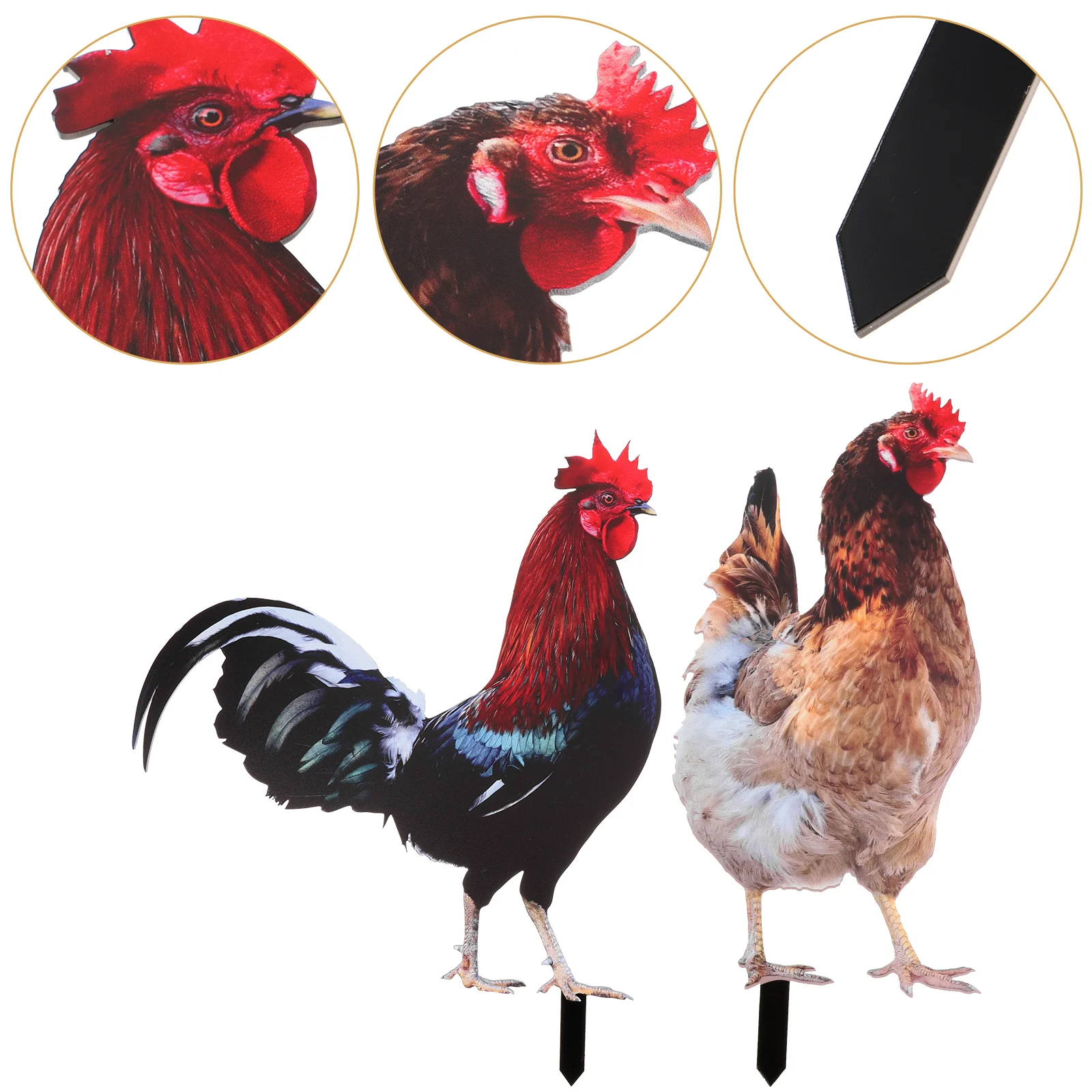 

Rooster Garden Stakes Acrylic Chick Signs Outdoor Hen Statue Chicken Yard Art Sculpture Ground Insert Ornament Backyard Patio