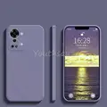 Lavender Grey