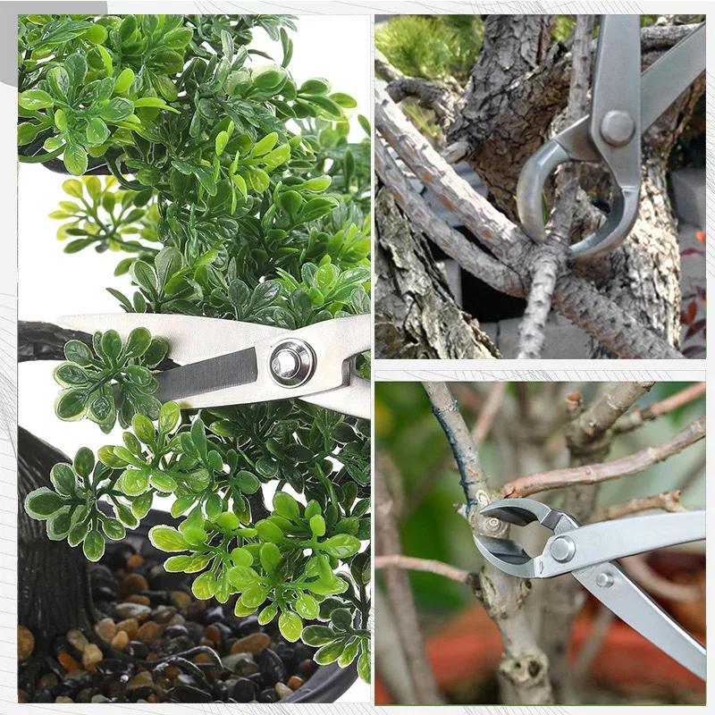 분재 도구 세트 10종, 분재 도구 키트, 가지치기 키트, 분재 가위, 가지치기 가위, 보관 가방 포함, 정원 가꾸기 선물, 여성, 부모님께