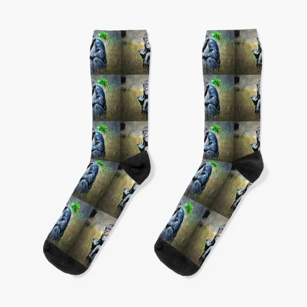 Chimp Socks halloween winter gifts basketball Men Socks Luxury Brand Women's