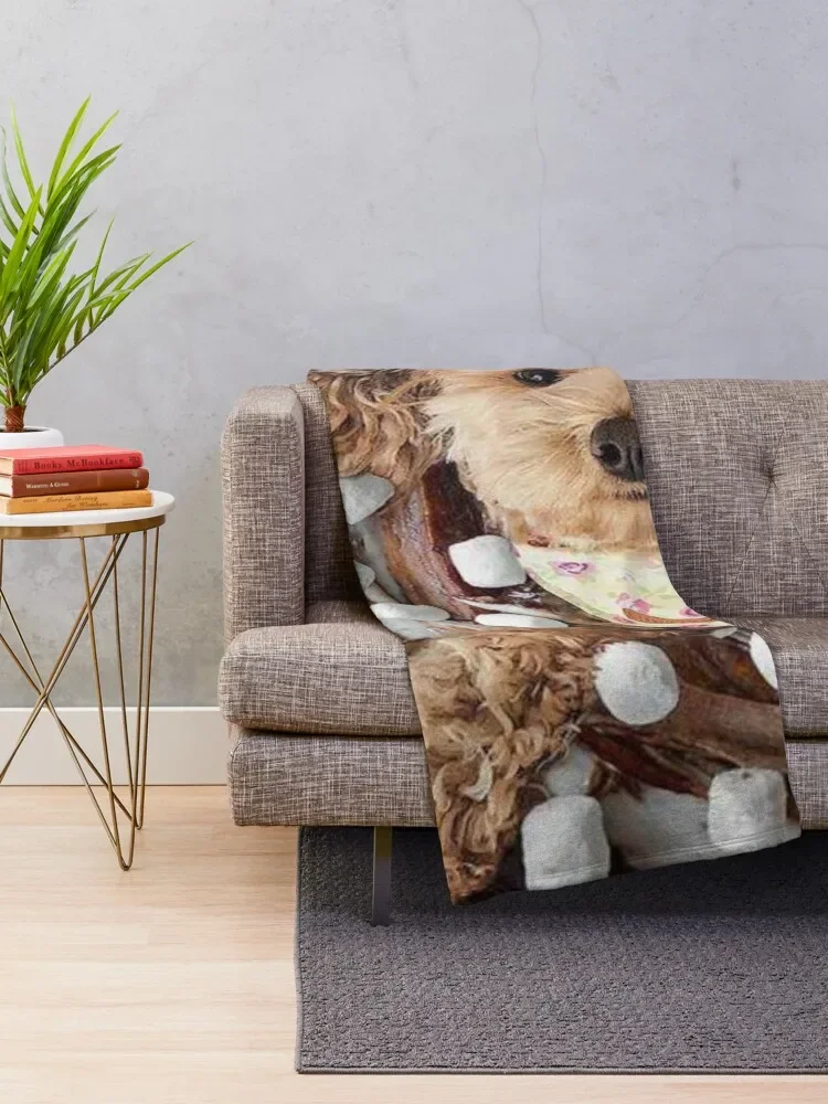 �Ϳ��� ī��Ǫ ������ ���, ���� ħ�� Ŀ��, ���� ���� ���� ���� ���