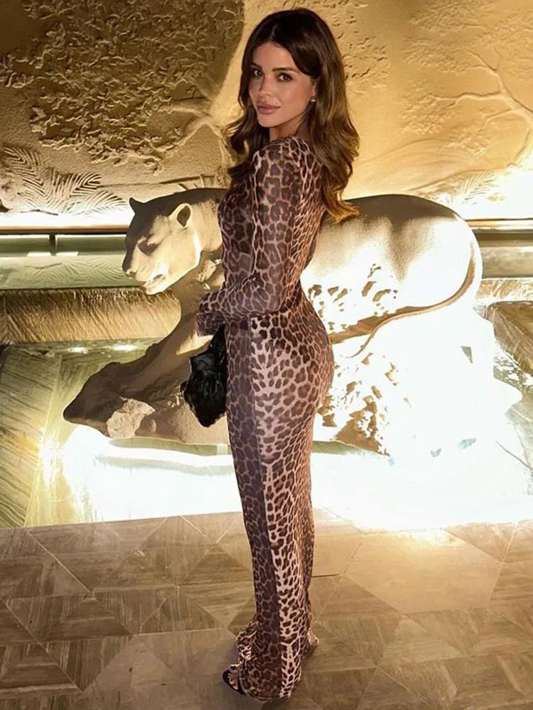 Women's Summer 2025 Leopard Print Mesh Dress Sexy O-neck Long Sleeve See-through Slim Fit Streetwear for Holiday Parties 5