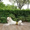 Male Dog Diapers Washable Belly Band for Male Dogs Comfortable Reusable Male Dog Belly Wraps for Doggy Puppy 4
