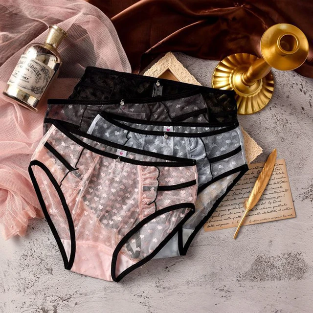 Factory wholesale female undies see through sexy mesh lace panties women  underwear plus size panties for women
