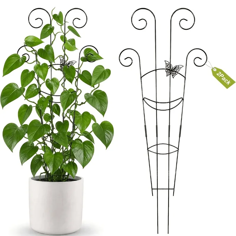Traliccio per Piante Rampicanti Supporto per Piante Palo da Giardino Struttura in Ferro per Fiori Decorazione da Giardino - immagine 2