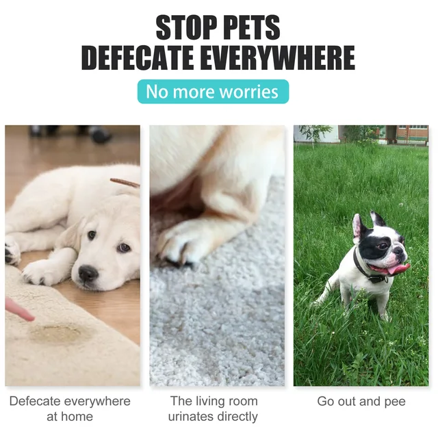 Pet Potty Training Spray 4