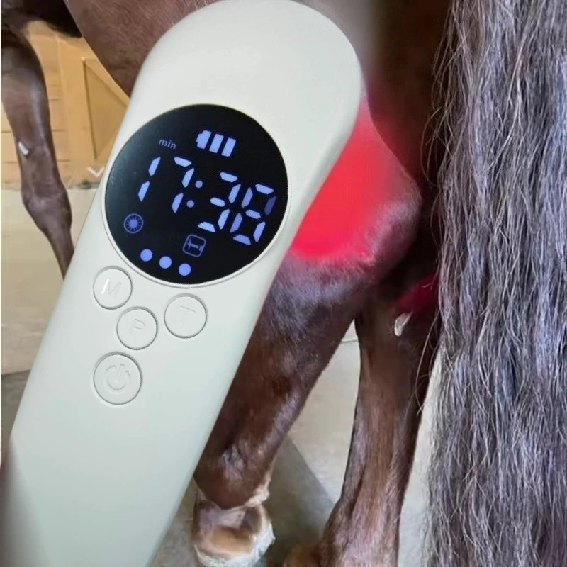 Multi-Purpose Animal Laser Device - 650nm 808nm for Pain Inflammation Wounds