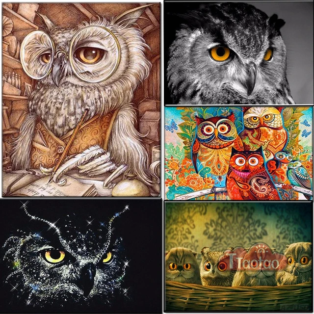 Dream Fun DIY 5D Diamond Painting Kits for Kids Adults, Owl