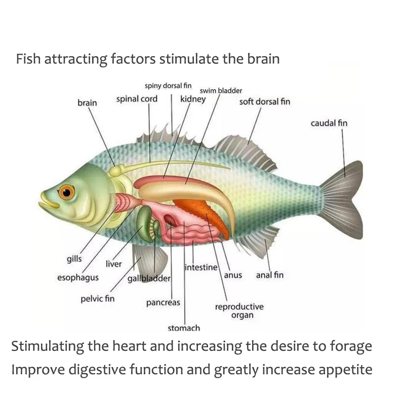 Slide image 12403ec1e7d74b06861fde9d9eaad343