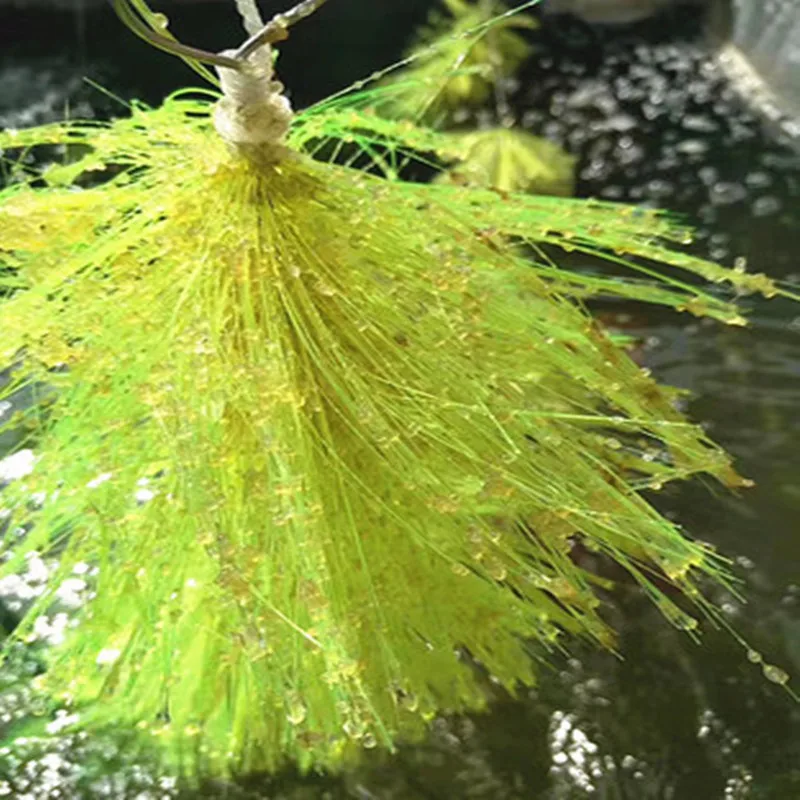 Fish Breeding Grass Goldfish Spawning Incubator Aquaculture Koi Fish Pond Hatching Spawning Grass Brush Cleaning Tools 100/60cm aquarium accessories