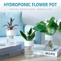 Mini Hydroponic Flower Pot Home Vase Decor Transparent Imitation Glass Soilless Plant Pots Green Plants Pot For Home Decorations 3