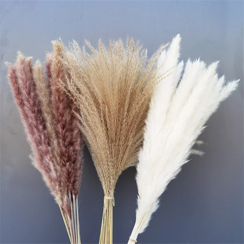 

Dried Pampas Grass Wedding Decor Natural Dried Flowers Bunch Artificial Plants for Home Party Christmas Decoration Driy Pampas