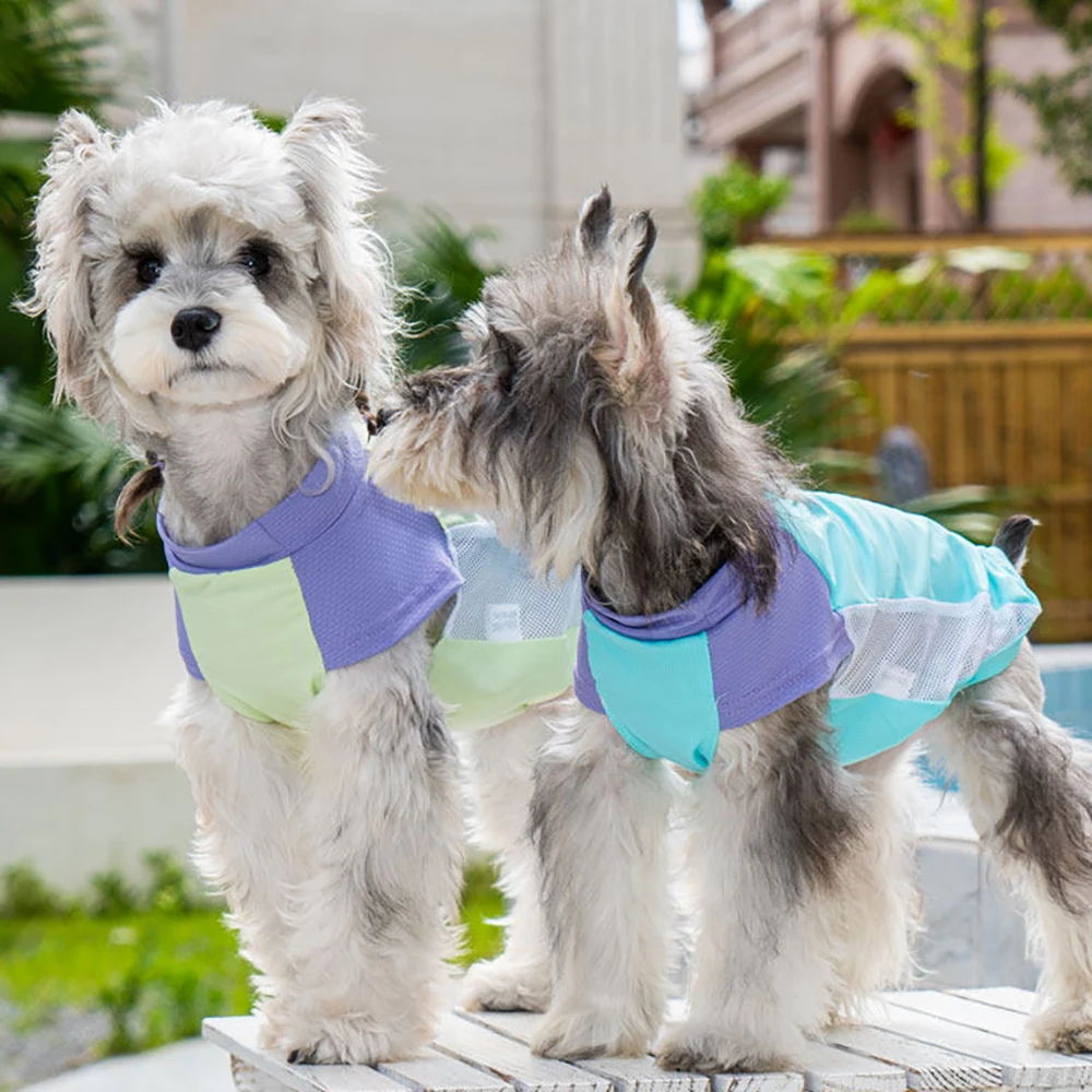 Breathable Cooling Mesh Vest Harness And Sun Hat For Small Dogs_voghion.com