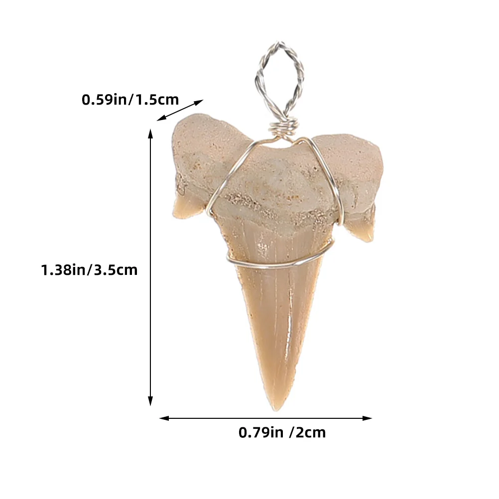 2pcs Shark Tooth Charm Necklaces Making Charms Decorative Shark Teeth Pendants Teeth Decor Charm for Crafts Necklace Making