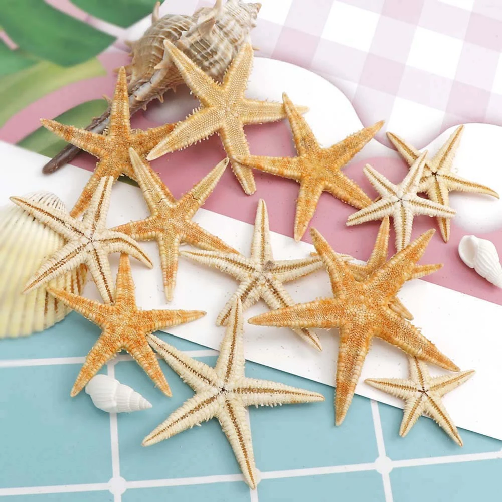 20 50 100PCS Sea Shells Mini Starfish Craft Decoration Natural Sea Stars DIY Beach Cottage Wedding Decor Crafts Wedding