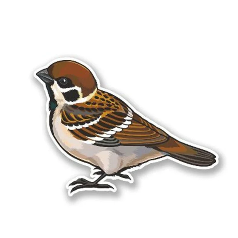 

Stickers on Car Accessories Decals Sticker Accessories Products PVC Motorcycle Exterior Parts Custom Decoration Cover Scratches