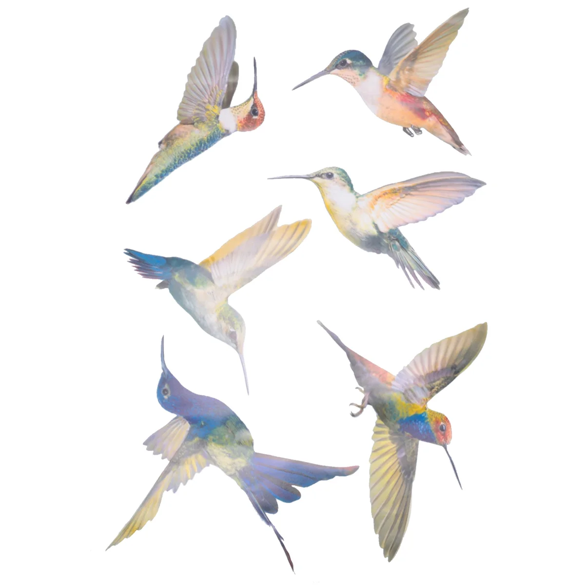 6 Pcs Lrge Size Bird Window Clings Anti-Collision Window Clings Decals to Prevent Bird Strikes on Glass