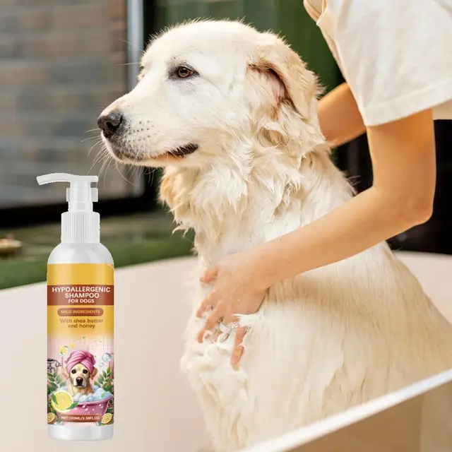 Mobile Grooming Zen Dog Grooming Pet Grooming Pets At Home Vip