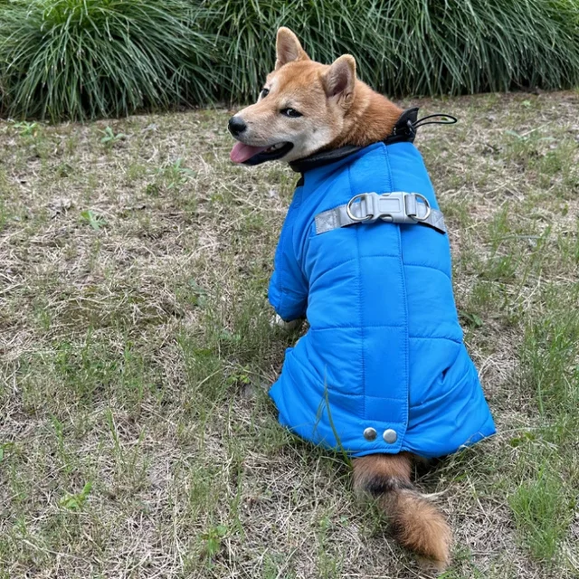 Winter Dog Coat Warm Waterproof 6