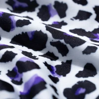 BZEL – culottes en dentelle délicates et douces pour femmes, Lingerie Sexy en maille transparente, sous-vêtements féminins à la mode, slip confortable et charmant à motif léopard 6