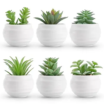 Artificial Succulent Plant Set 1