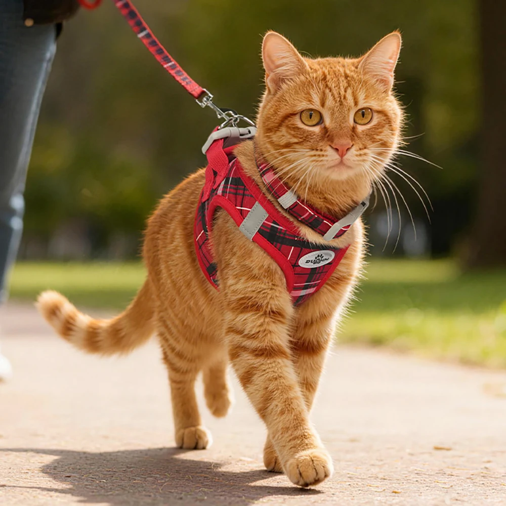 Adjustable Plaid Pet Leash And Collar Set For Cats And Dogs_voghion.com