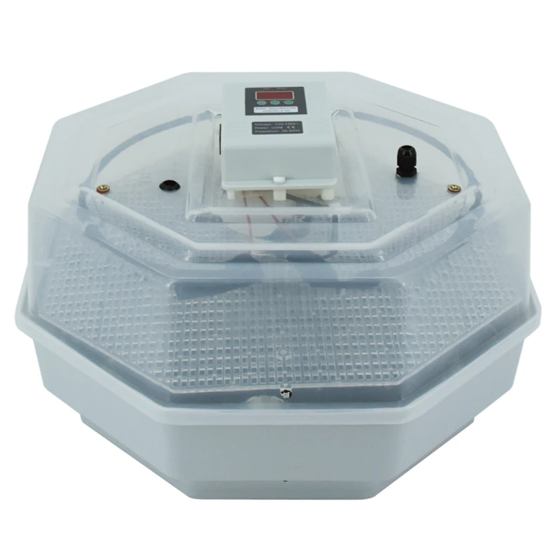 

best pet keeping parrot egg incubator