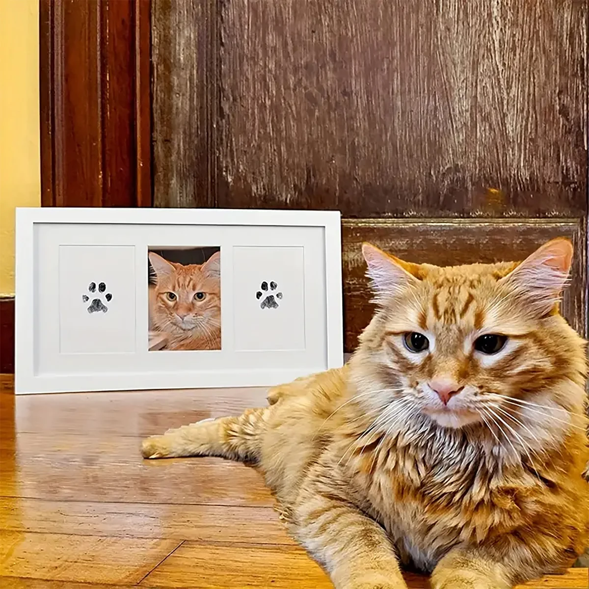 Touchless Pet Paw Print Ink Pad-Create Lasting Memories of Your Beloved Pet with Mess-Free Ink Pad