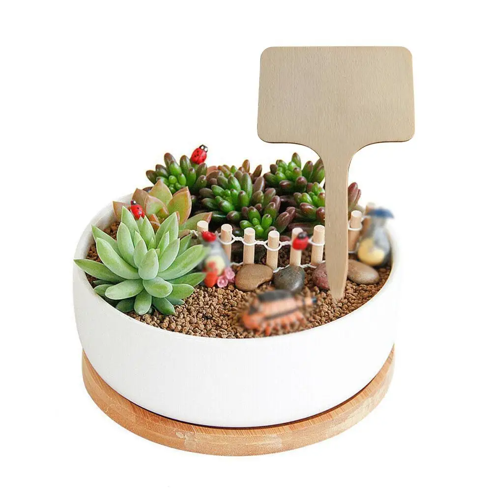 

10/20/50Pcs Bamboo Plant Labels Markers T-Type Garden Plants Classification Sorting Vegetables Sign Tags Flowers Nursery Markers