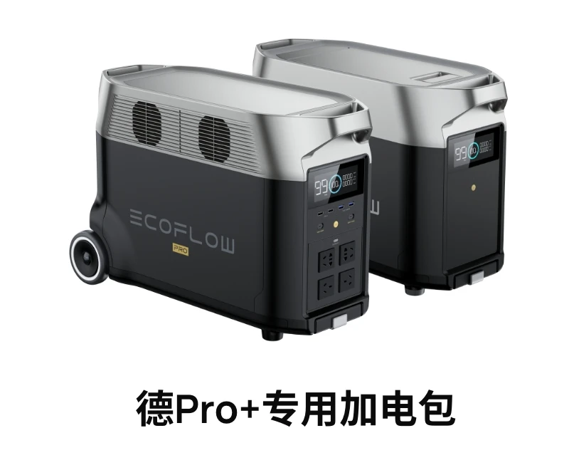 EcoFlow Zhenghao Outdoor Mobile Power 220V Portable Pro Power Pack Camping High-Power Battery