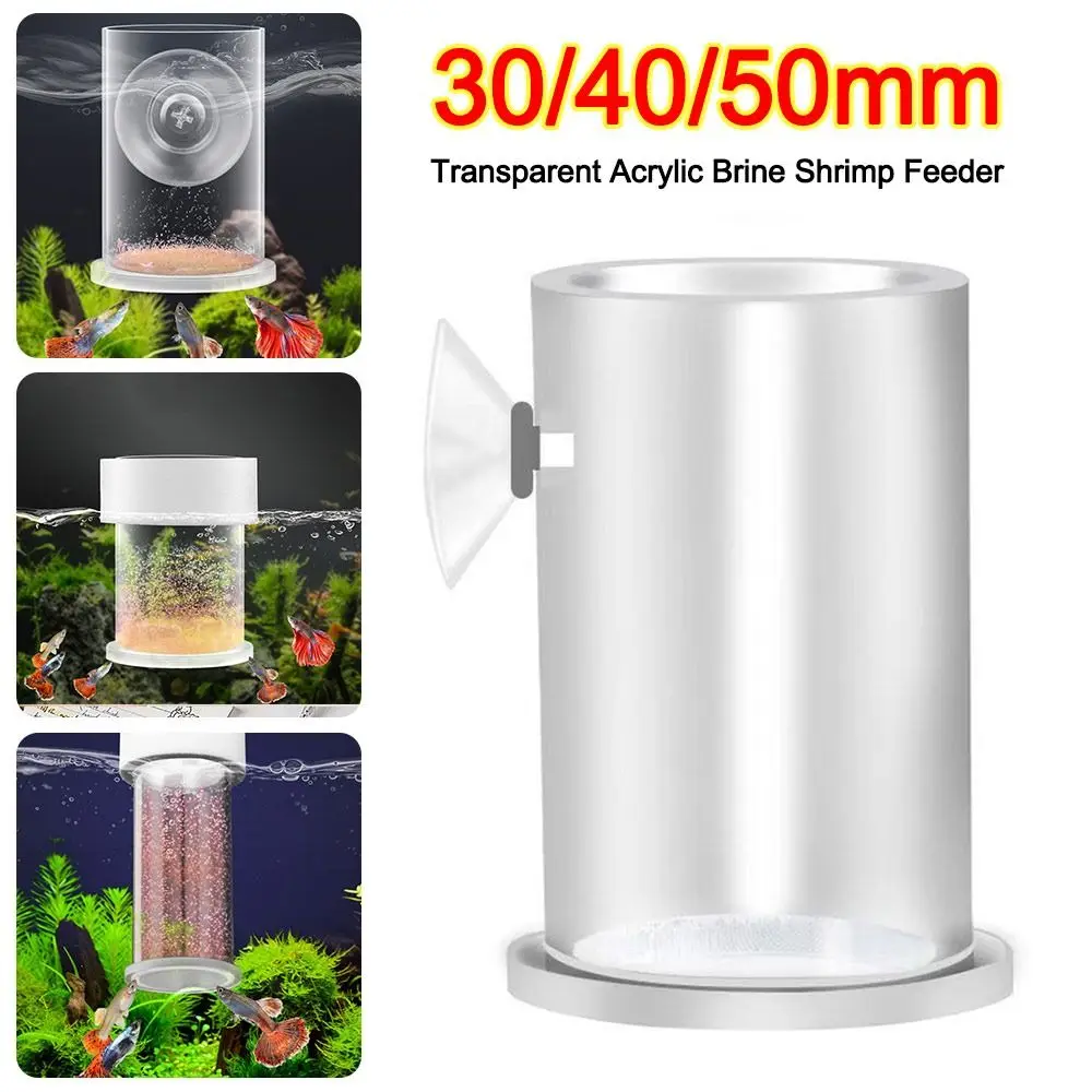 Acrylic Transparent Fish Feeder with Suction Cup for Aquariums