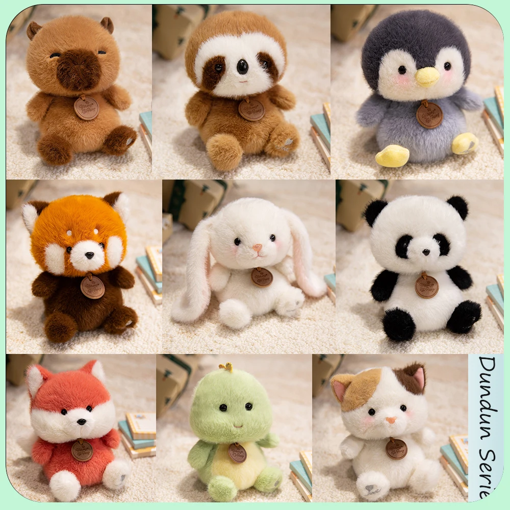 dsc-products