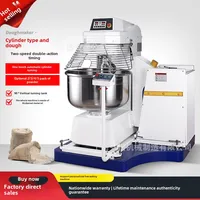 Turnover Mixer 3/4/5 Packets Of Flour 125kg Kneading Machine Food Factory Pasta Machine Automatic Lifting And Turning Cylinder 1