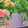 Plant Watering Can 1L Portable Watering Pot Household Transparent Watering Pot Garden Watering Pot Tool For Balcony Patio 5